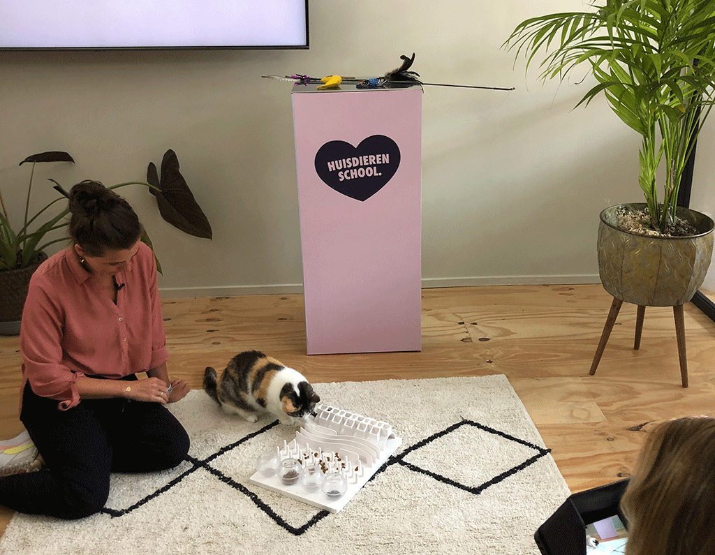 Eline Greiner met kat en voerpuzzel in de studio van De Huisdierenschool