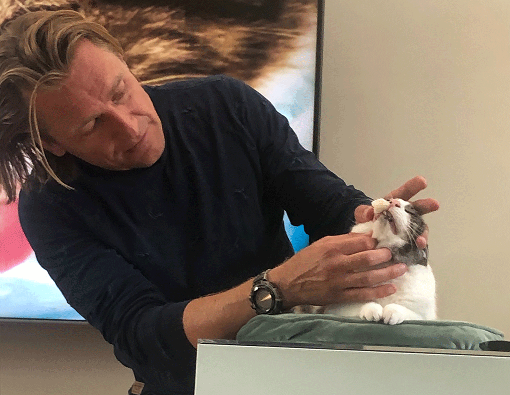 Dierenarts Piet Hellemans controleert het gebit van een kat