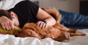 5 tips voor de eerste nacht met je hond